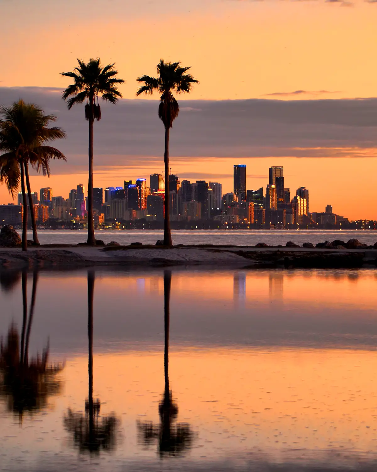 Miami skyline at twilight from the water