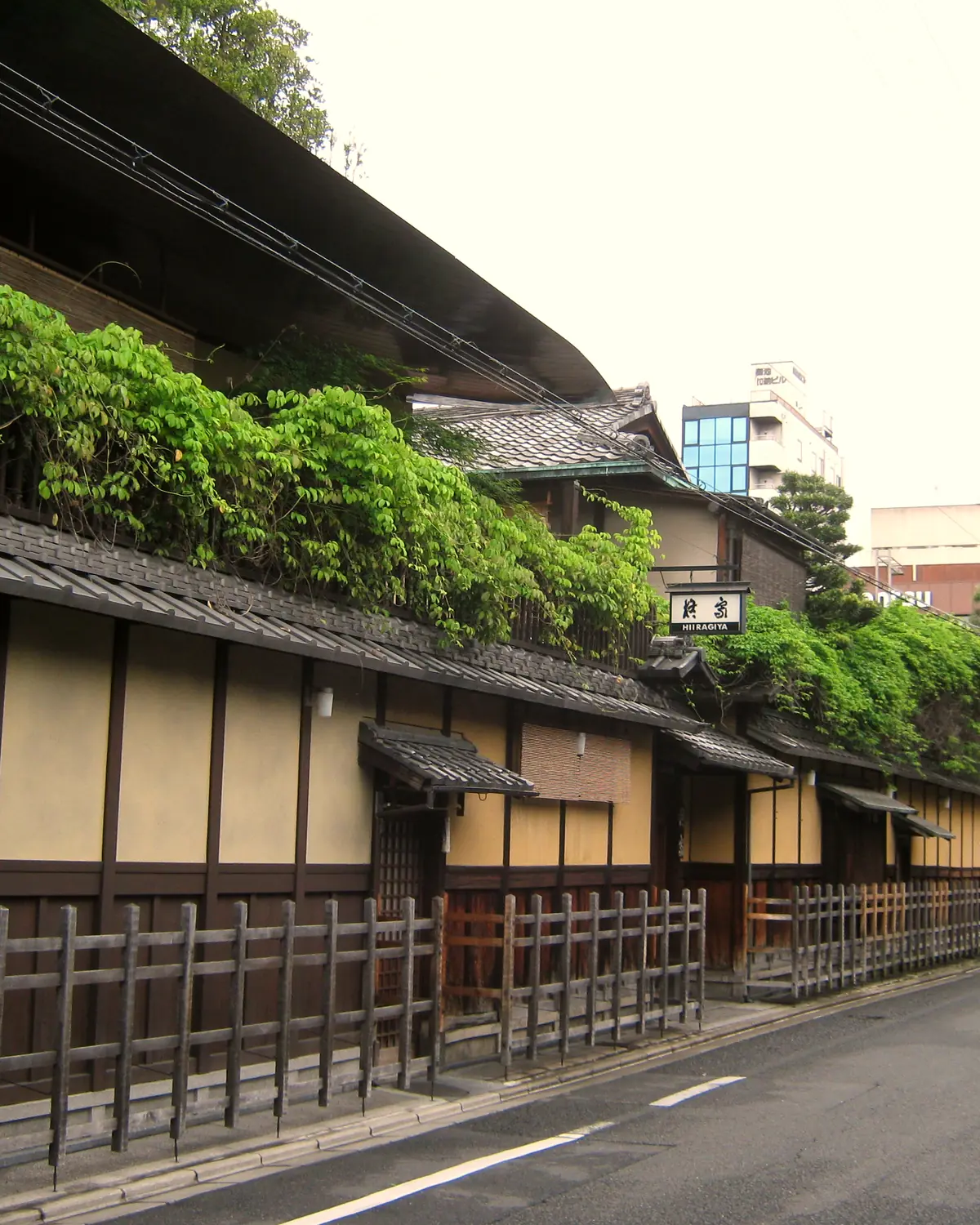 The long street frontage of Hiiragiya on Anekoji-dori: plastered walls with tiled eaves, wooden fences, climbing greenery and the HIIRAGIYA sign