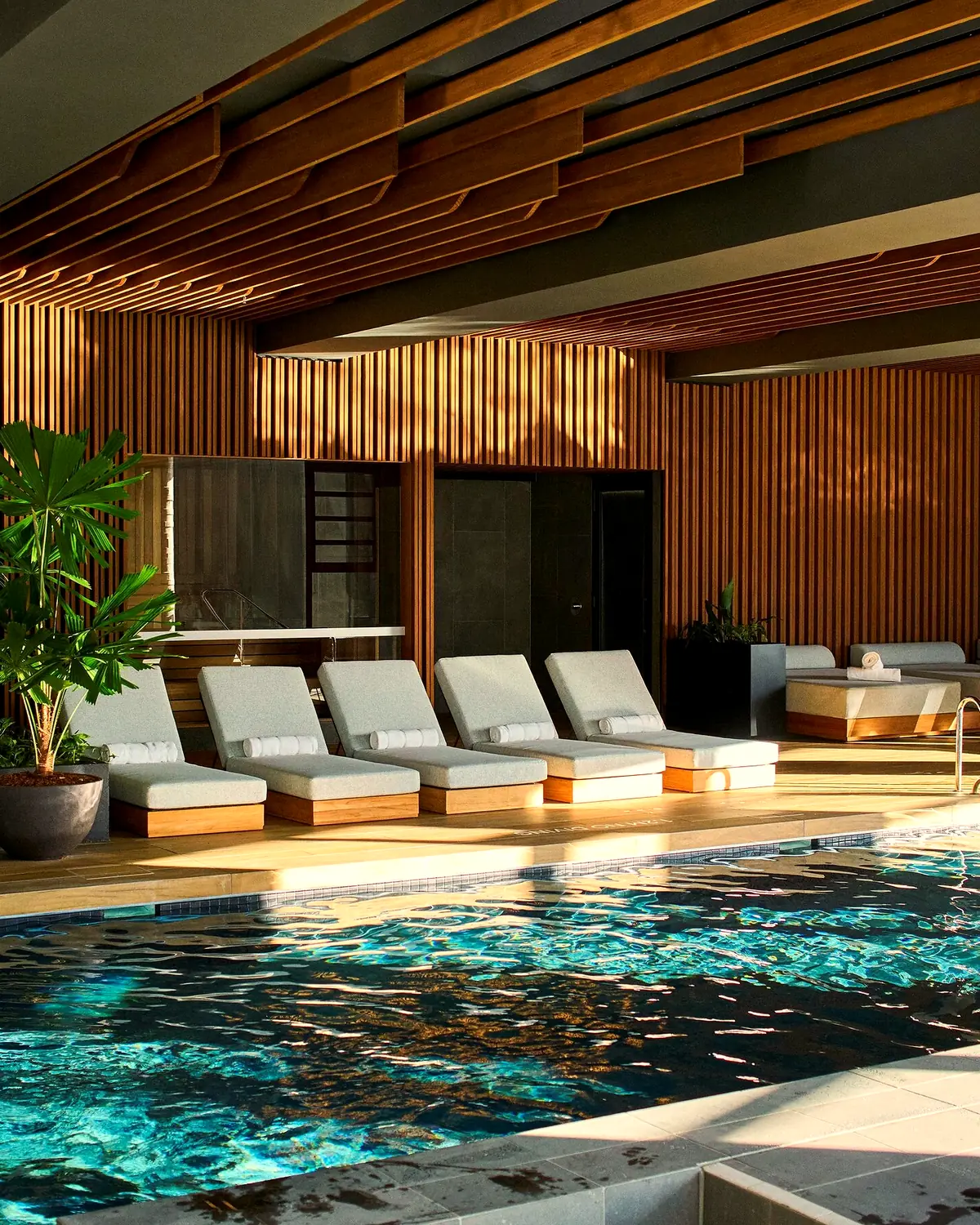 The indoor pool at 1 Hotel Melbourne: timber slats, daybeds with rolled towels, and sun on the water